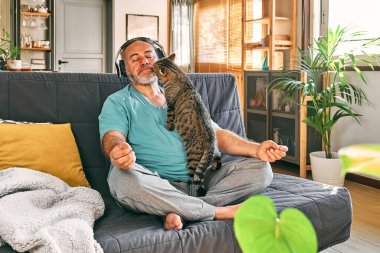 Mature middle-aged overweight man in wireless headphones relaxing at home with his cat and guided meditation, listening to relaxing music on smartphone and meditating in lotus pose.