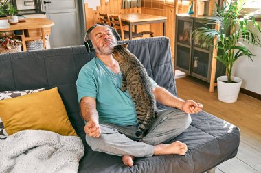Mature middle-aged overweight man in wireless headphones relaxing at home with his cat and guided meditation, listening to relaxing music on smartphone and meditating in lotus pose.
