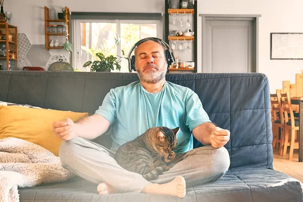 Mature middle-aged overweight man in wireless headphones relaxing at home with his cat and guided meditation, listening to relaxing music on smartphone and meditating in lotus pose.