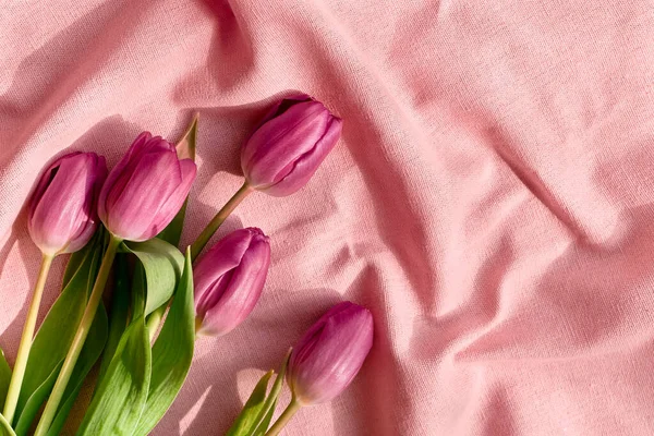 Colorful tulips on linen fabric. Pink, magenta or fuchsia tulips on wrinkled deep pink pastel cotton. Muted tone. Spring holiday floral decor.