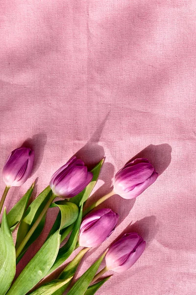 Colorful tulips on linen fabric. Pink, magenta or fuchsia tulips on wrinkled deep pink pastel cotton. Muted tone. Spring holiday floral decor.