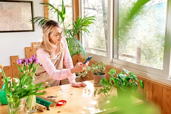 Woman florist in flower shop taking photo of a plant with  smartphone for her web site. Flower delivery. Social media for small business.