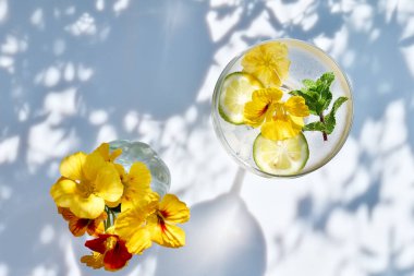 Yenilebilir nasturtiyum çiçekleri, limon ve nane yapraklı buzlu limonata. Tazeleyici yaz içeceği. Sağlıklı organik yaz gazozu. Detoks suyu. Diyet alkolsüz kuyruk kuyruğu.