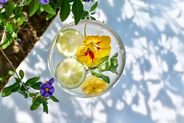 Yenilebilir nasturtiyum çiçekleri, limon ve nane yapraklı buzlu limonata. Tazeleyici yaz içeceği. Sağlıklı organik yaz gazozu. Detoks suyu. Diyet alkolsüz kuyruk kuyruğu.