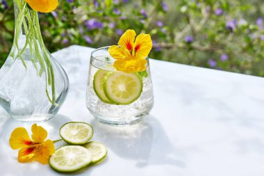 Yenilebilir nasturtiyum çiçekleri, limon ve nane yapraklı buzlu limonata. Tazeleyici yaz içeceği. Sağlıklı organik yaz gazozu. Detoks suyu. Diyet alkolsüz kuyruk kuyruğu.
