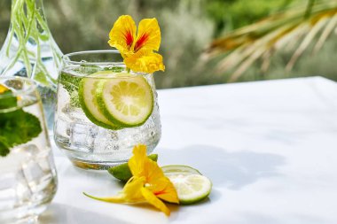 Yenilebilir nasturtiyum çiçekleri, limon ve nane yapraklı buzlu limonata. Tazeleyici yaz içeceği. Sağlıklı organik yaz gazozu. Detoks suyu. Diyet alkolsüz kuyruk kuyruğu.