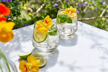 Yenilebilir nasturtiyum çiçekleri, limon ve nane yapraklı buzlu limonata. Tazeleyici yaz içeceği. Sağlıklı organik yaz gazozu. Detoks suyu. Diyet alkolsüz kuyruk kuyruğu.