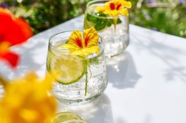 Yenilebilir nasturtiyum çiçekleri, limon ve nane yapraklı buzlu limonata. Tazeleyici yaz içeceği. Sağlıklı organik yaz gazozu. Detoks suyu. Diyet alkolsüz kuyruk kuyruğu.