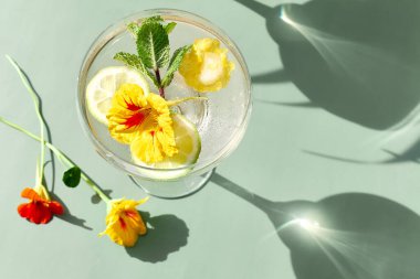 Yenilebilir nasturtiyum çiçekleri, limon ve nane yapraklı buzlu limonata. Tazeleyici yaz içeceği. Sağlıklı organik yaz gazozu. Detoks suyu. Diyet alkolsüz kuyruk kuyruğu.