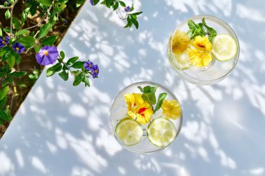 Yenilebilir nasturtiyum çiçekleri, limon ve nane yapraklı buzlu limonata. Tazeleyici yaz içeceği. Sağlıklı organik yaz gazozu. Detoks suyu. Diyet alkolsüz kuyruk kuyruğu.