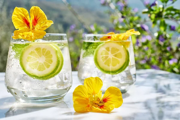 食用のナストリウムの花 ミントの葉で氷のレモネード 爽やかな夏のドリンク 健康的な有機夏のソーダ飲料 デトックス水 ダイエット Unalcolicカクテル — ストック写真