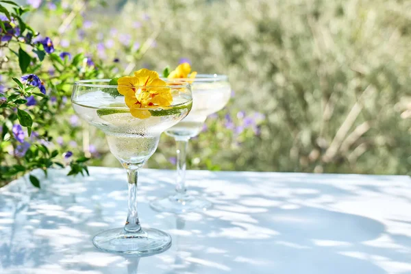 Geeiste Limonade Mit Essbaren Kapuzinerkresseblüten Limetten Und Minzblättern Erfrischendes Sommergetränk — Stockfoto