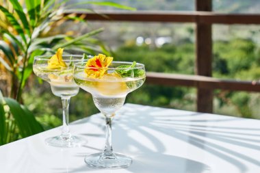 Yenilebilir nasturtiyum çiçekleri, limon ve nane yapraklı buzlu limonata. Tazeleyici yaz içeceği. Sağlıklı organik yaz gazozu. Detoks suyu. Diyet alkolsüz kuyruk kuyruğu.