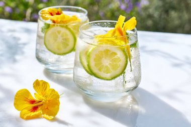 Yenilebilir nasturtiyum çiçekleri, limon ve nane yapraklı buzlu limonata. Tazeleyici yaz içeceği. Sağlıklı organik yaz gazozu. Detoks suyu. Diyet alkolsüz kuyruk kuyruğu.