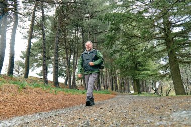 Olgun sakallı gezgin dağ ormanlarında yürüyüş yapıyor. Egzersiz için doğa yürüyüşü, sağlık ve sağlıklı yaşam için uygunluk..