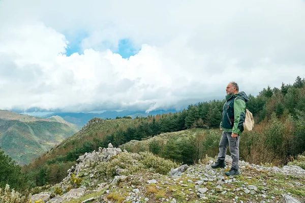 Reizigers Wandelen Het Bergwoud Staan Steen Kijken Uit Panoramische Bergvallei Stockafbeelding