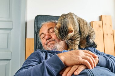 Tabby cat licking head of bearded man in living room. Human-animal relationships. Pets care. Funny home pet. Cat day. Selective focus. Adopted pet.