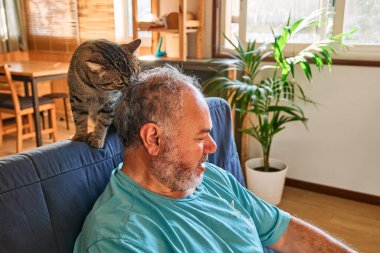 Tabby cat licking head of bearded man in living room. Human-animal relationships. Pets care. Funny home pet. Cat day. Selective focus. Adopted pet.