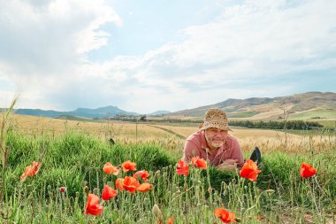 Orta yaşlı bir adam, altın buğday tarlasının yanındaki gelincik çayırında dinleniyor. Sıcak yaz güneşinde ve mavi gökyüzünde, arka planda dağlık tepe manzaralı beyaz bulutlar var. Dışarıda boş zaman aktivitesi..