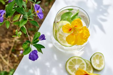 Yenilebilir nasturtiyum çiçekleri, limon ve nane yapraklı buzlu limonata. Tazeleyici yaz içeceği. Sağlıklı organik yaz gazozu. Detoks suyu. Diyet alkolsüz kuyruk kuyruğu.