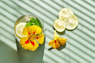 Yenilebilir nasturtiyum çiçekleri, limon ve nane yapraklı buzlu limonata. Tazeleyici yaz içeceği. Sağlıklı organik yaz gazozu. Detoks suyu. Diyet alkolsüz kuyruk kuyruğu.