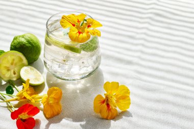 Yenilebilir nasturtiyum çiçekleri, limon ve nane yapraklı buzlu limonata. Tazeleyici yaz içeceği. Sağlıklı organik yaz gazozu. Detoks suyu. Diyet alkolsüz kuyruk kuyruğu.