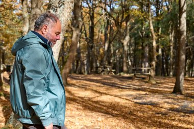 Olgun sakallı gezgin sonbahar ormanlarında yürüyüşe çıkmış. Sonbahar doğasında egzersiz, sağlık ve sağlıklı yaşam için uygunluk için yürümek. Özgürlük ve doğa ile birlik.