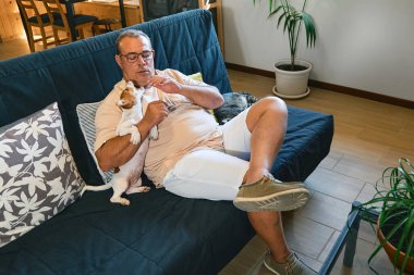 Komik Jack Russell Terrier köpeği orta yaşlı bir adamın kucağında oturuyor ve onu ısırmak istiyor. Komik küçük beyaz ve kahverengi köpek ev sahibiyle vakit geçiriyor. Köpek eğitimi.