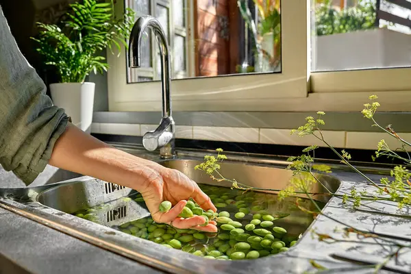 Woman preparing fermented olives, washing it in washbasin in the kitchen. Autumn vegetables canning. Healthy homemade food. Conservation of harvest.