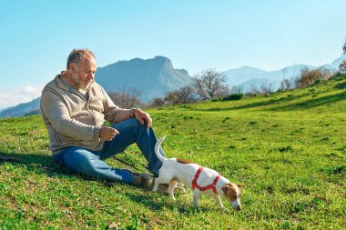 Gri saçlı adam dağlık bölgede çayırda Jack Russell köpeğiyle yürüyüşe çıkıyor. Olgun bir adam köpeğiyle dışarıda oynuyor..