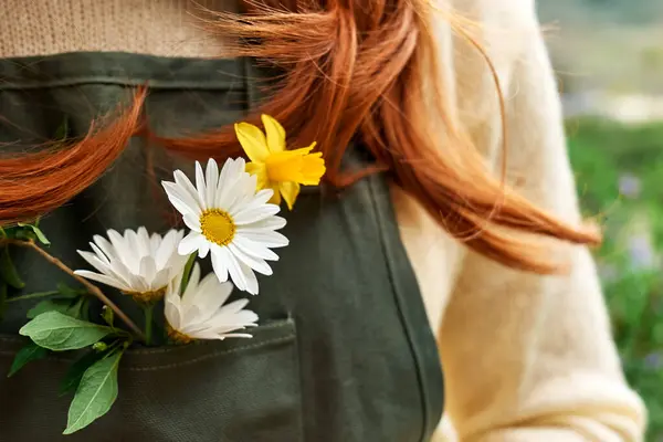 Unrecognizable redhead woman gardener in sweater and green apron with white daisy and yellow narcissus in apron pocket. Springtime mood.