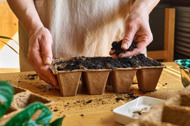Tanınmayan bir kadın, kara toprakla dolu biyolojik olarak çözünebilir turba tenceresine tohum ekiyor. Mevsimlik ekme ve ekme. Organik tarım ürünleri yetiştiriyor. Sürdürülebilir tarım.