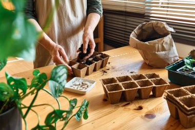 Tanınmayan bir kadın, kara toprakla dolu biyolojik olarak çözünebilir turba tenceresine tohum ekiyor. Mevsimlik ekme ve ekme. Organik tarım ürünleri yetiştiriyor. Sürdürülebilir tarım.