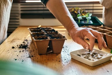 Tanınmayan bir kadın, kara toprakla dolu biyolojik olarak çözünebilir turba tenceresine tohum ekiyor. Mevsimlik ekme ve ekme. Organik tarım ürünleri yetiştiriyor. Sürdürülebilir tarım.