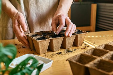 Tanınmayan bir kadın, kara toprakla dolu biyolojik olarak çözünebilir turba tenceresine tohum ekiyor. Mevsimlik ekme ve ekme. Organik tarım ürünleri yetiştiriyor. Sürdürülebilir tarım.