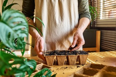 Tanınmayan bir kadın, kara toprakla dolu biyolojik olarak çözünebilir turba tenceresine tohum ekiyor. Mevsimlik ekme ve ekme. Organik tarım ürünleri yetiştiriyor. Sürdürülebilir tarım.