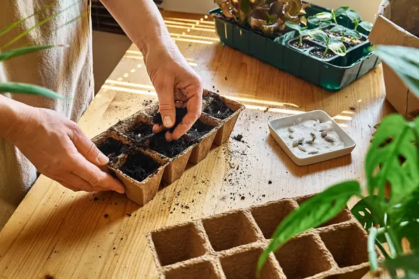 Tanınmayan bir kadın, kara toprakla dolu biyolojik olarak çözünebilir turba tenceresine tohum ekiyor. Mevsimlik ekme ve ekme. Organik tarım ürünleri yetiştiriyor. Sürdürülebilir tarım.