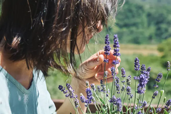 Kadın, kokulu lavanta çiçeklerinin kokusunu içine çekiyor. Doğal bitkisel tedavi yöntemleri. Alternatif tıp. Lavanta yağı. Aromaterapi.