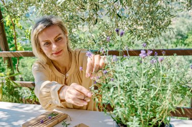El yapımı hediye paketi yapan kadın geri dönüştürülmüş kağıt ve masada keten masa örtüsüyle kurutulmuş lavanta çiçekleri yapıyor. Doğal estetik..