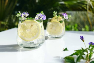 Yenilebilir nonoş çiçekli buzlu limonata, limon ve mayran. Tazeleyici yaz içeceği. Sağlıklı organik yaz gazozu. Detoks suyu. Diyet alkolsüz kuyruk kuyruğu.