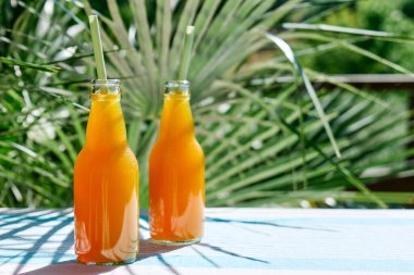 Soğuk yaz içkisi. Bahçedeki masada pipet içerek taze portakal suyunu şişelerde tazeliyorum..