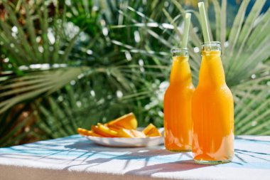 Soğuk yaz içkisi. Bahçedeki masada pipet içerek taze portakal suyunu şişelerde tazeliyorum..