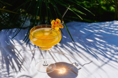 Bahçedeki masada serinletici portakallı gazoz içeceği. Portakal dilimli buzlu limonata..