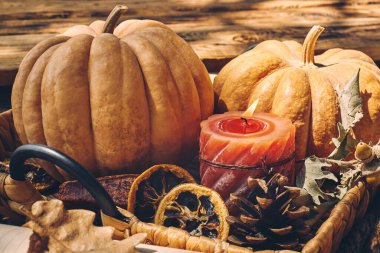 Cozy warm autumn composition with burning candle and pumpkins on knitted woolen plaid. Autumn home decor. Fall mood. Thanksgiving. Halloween.