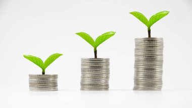 Üç Tay yığınları beyaz arka plan üzerinde sikke