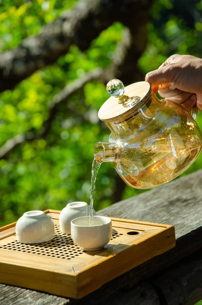 male hand is holding teapot and pouring tea into teacup with tree background