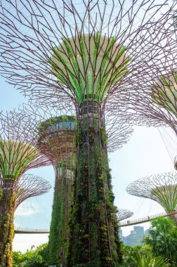 Güneşli bir günde Singapur 'da, Sahil kenarındaki Garden' daki dev ağaç binası.