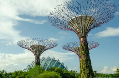 Güneşli bir günde Singapur 'da, Sahil kenarındaki Garden' daki dev ağaç binası.