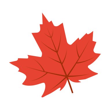 Akçaağaç yaprağı. Yaprak düz stil.