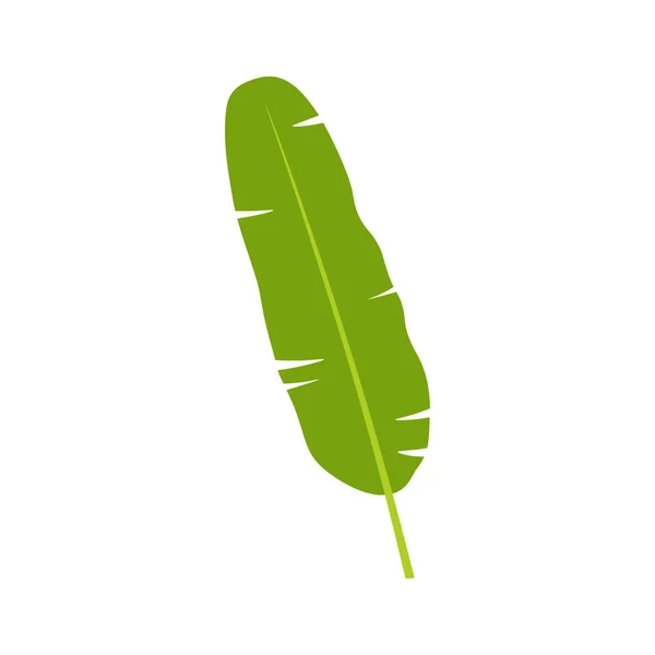 Banana Leaf Leaf Flat Style — Stock Vector